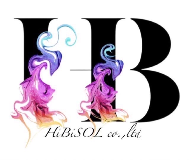 株式会社HiBiソリューションズ